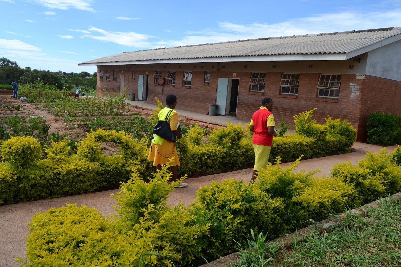Schoole benefits from gardens