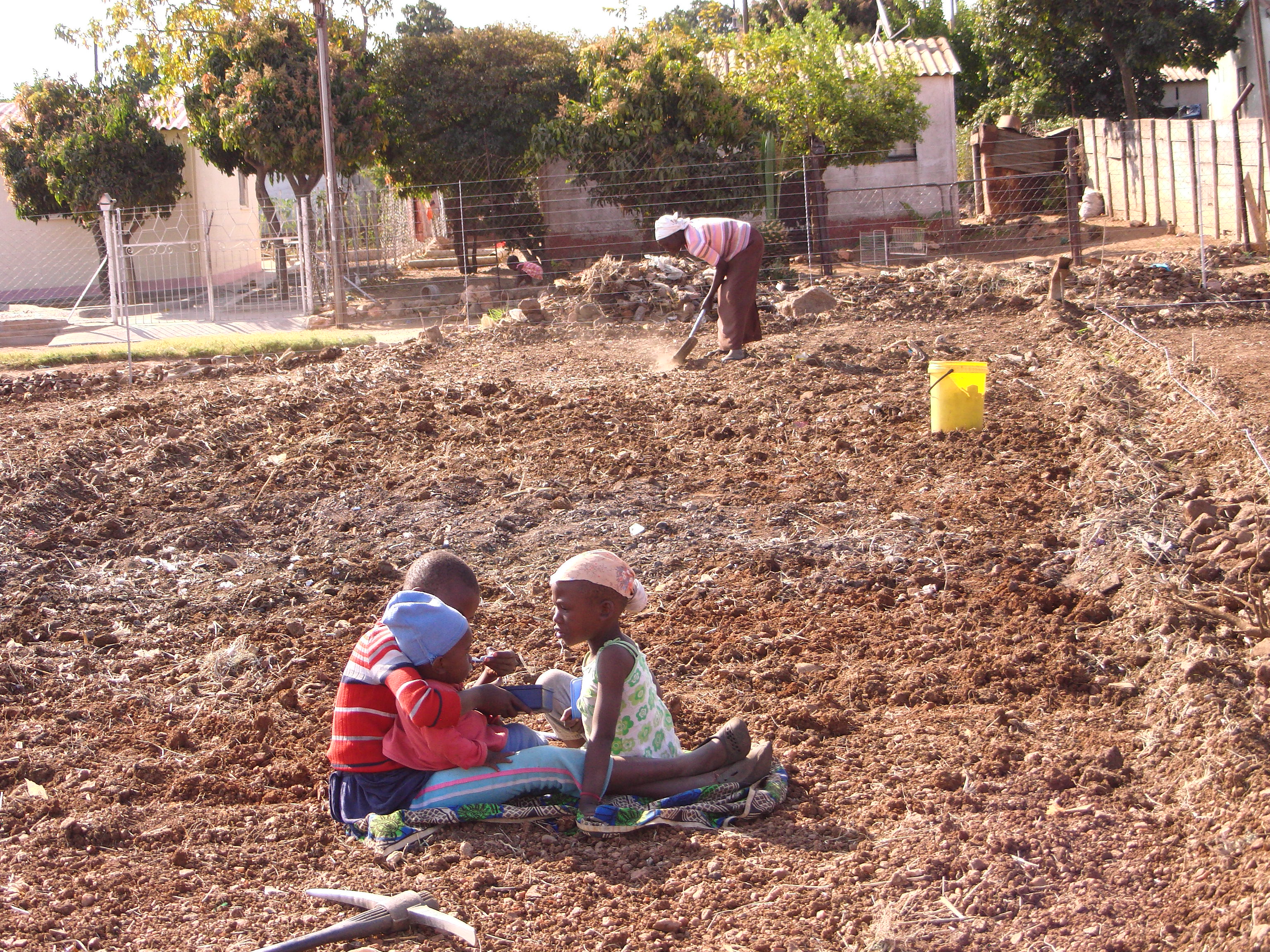 Children field