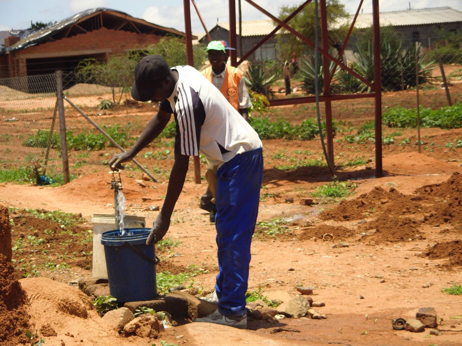 Gender collaboration Bulawayo nutritional garden
