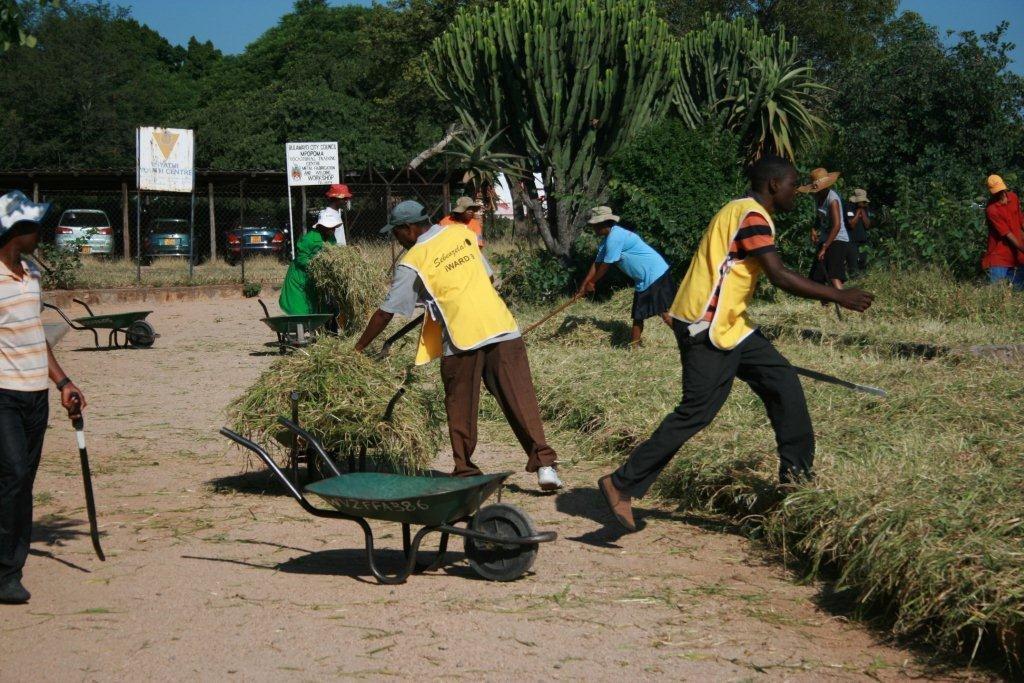 Bulawayo community cleanup