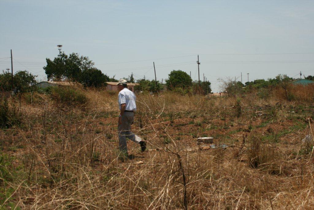 ZDDT Garden