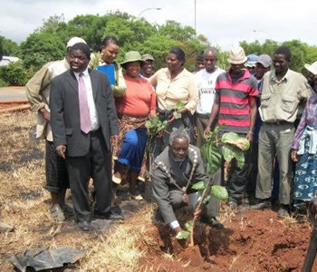 bulawayo deputy mayor bulawayo deputy mayor