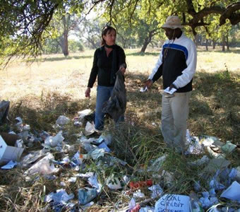 littering littering