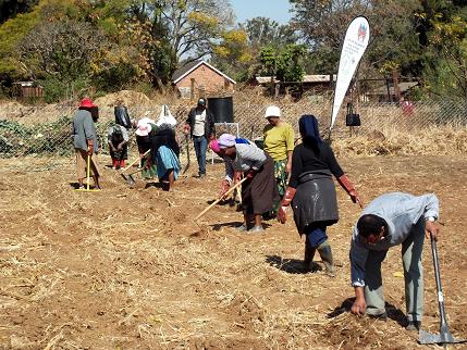 community garden making beds