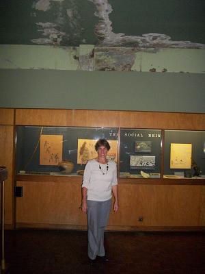 leaking at the natural history museum