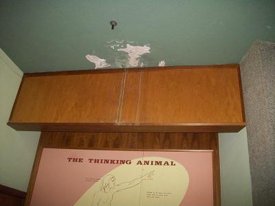 natural history museum needs help