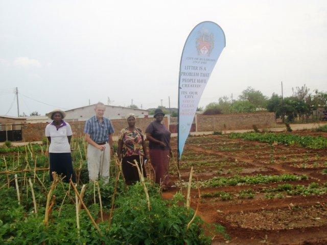 bulawayo nutritional gardens bulawayo nutritional gardens