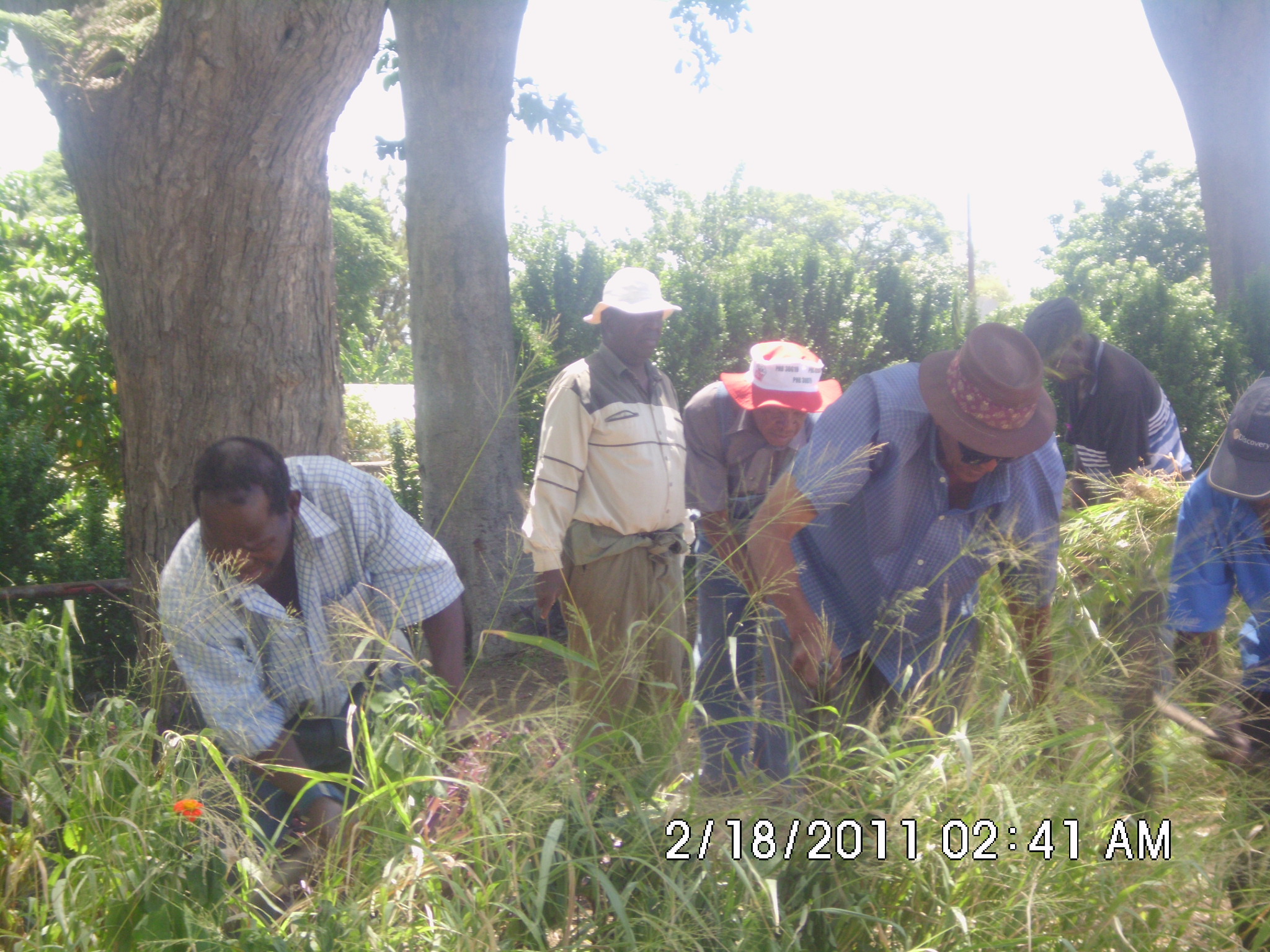 bulawayo community clean pool bulawayo community clean pool