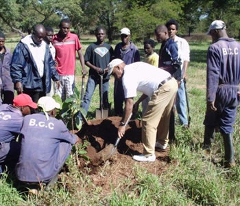 bulawayo tree planting bulawayo tree planting